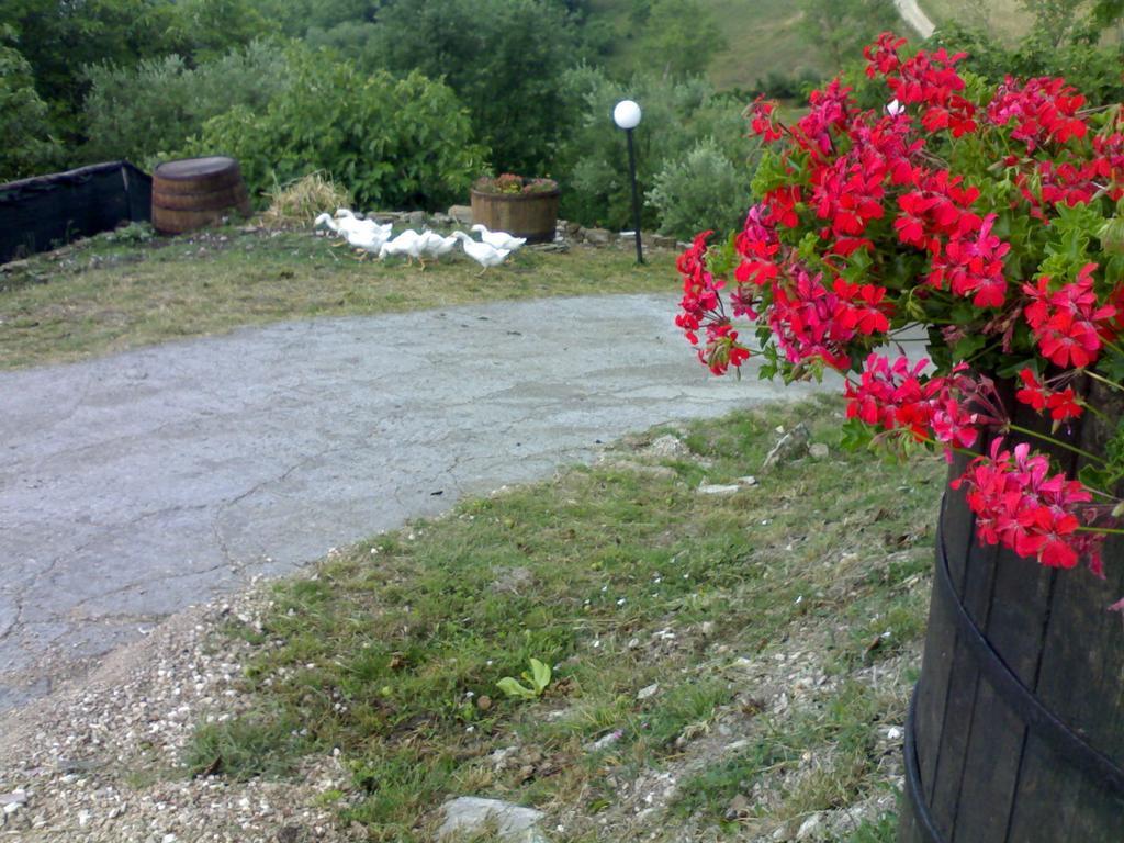 Aia Di Lazzaro Agriturismo Casalbore Exterior foto
